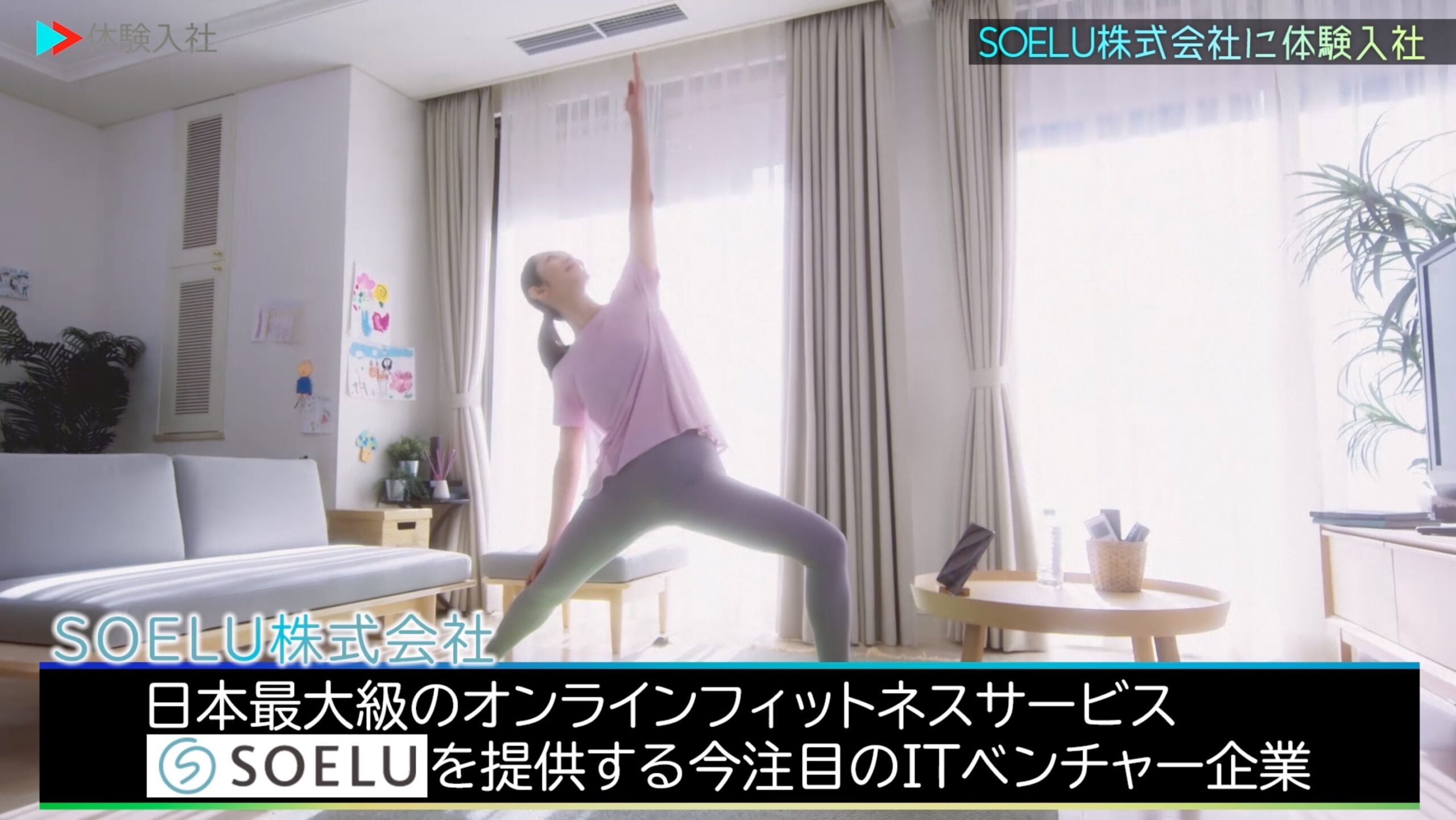 【体験入社】SOELU会社情報