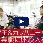 営業が初めての方にはピッタリな営業職 | バイク王&カンパニーの転職・求人情報