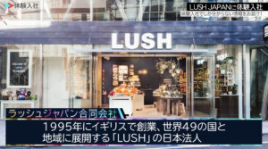 ラッシュジャパン|採用動画導入事例