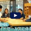 【体験入社】株式会社SmartHRの転職・求人情報